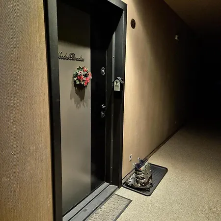 Wooden Paradise Next To Gondola *